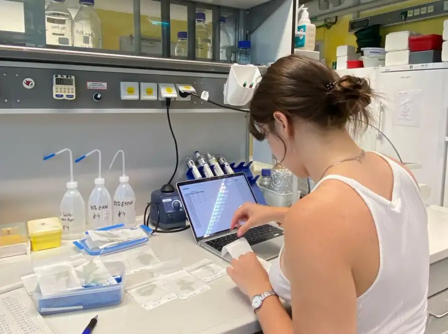 Individual Researchers
