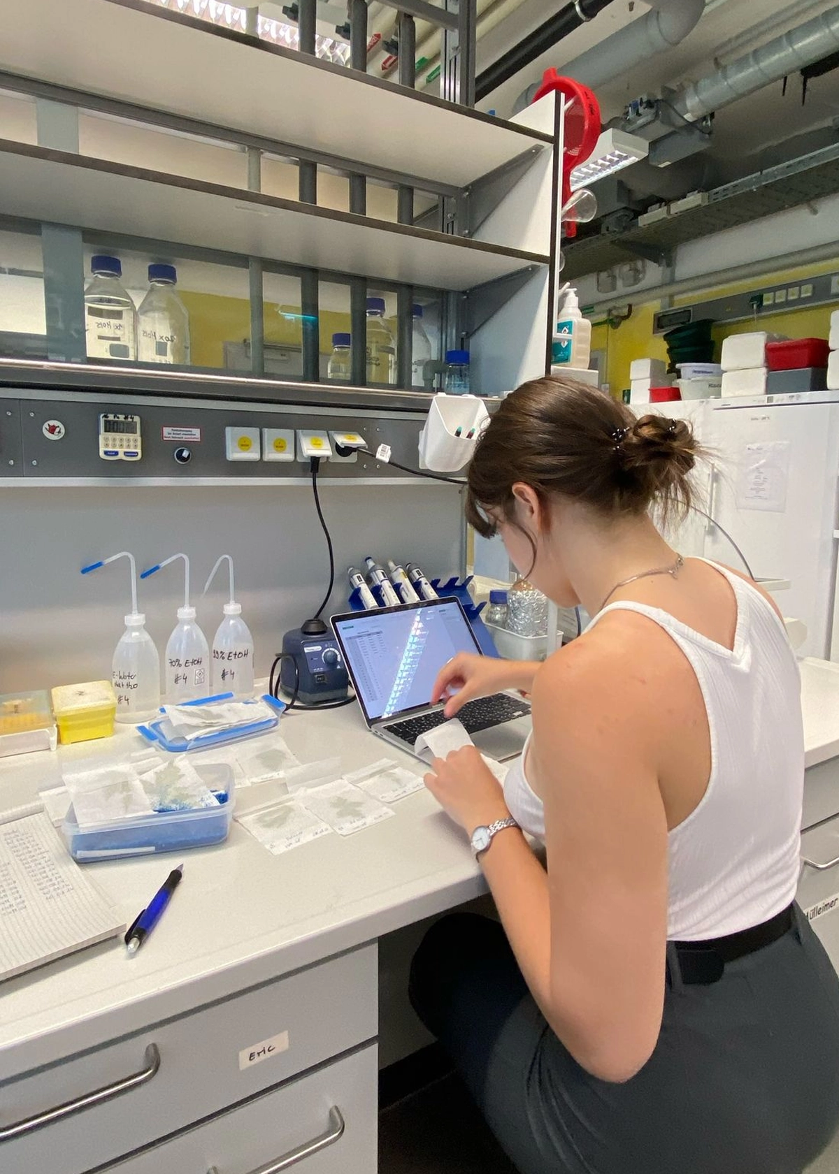 Individual Researchers